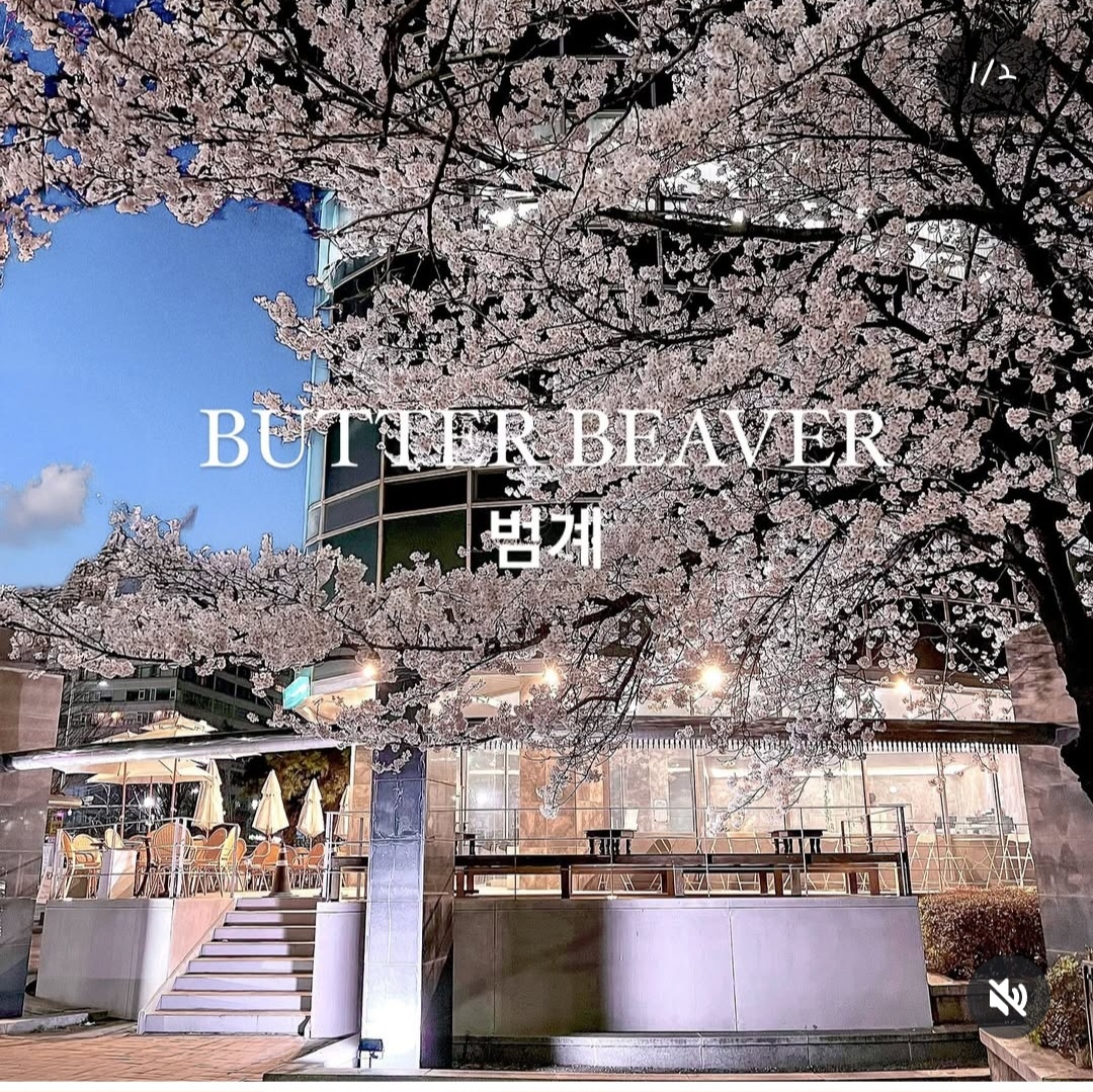 버터비버, butter_beaver