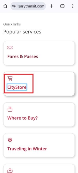 로우인컴 먼슬리패스, My Fare, Low Income Monthly Pass