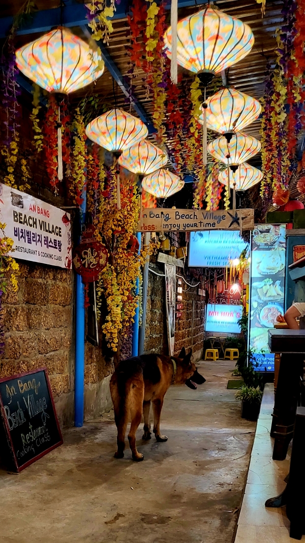 호이안 맛집, 비치빌리지, Hoi An Restaurent, Beach Village