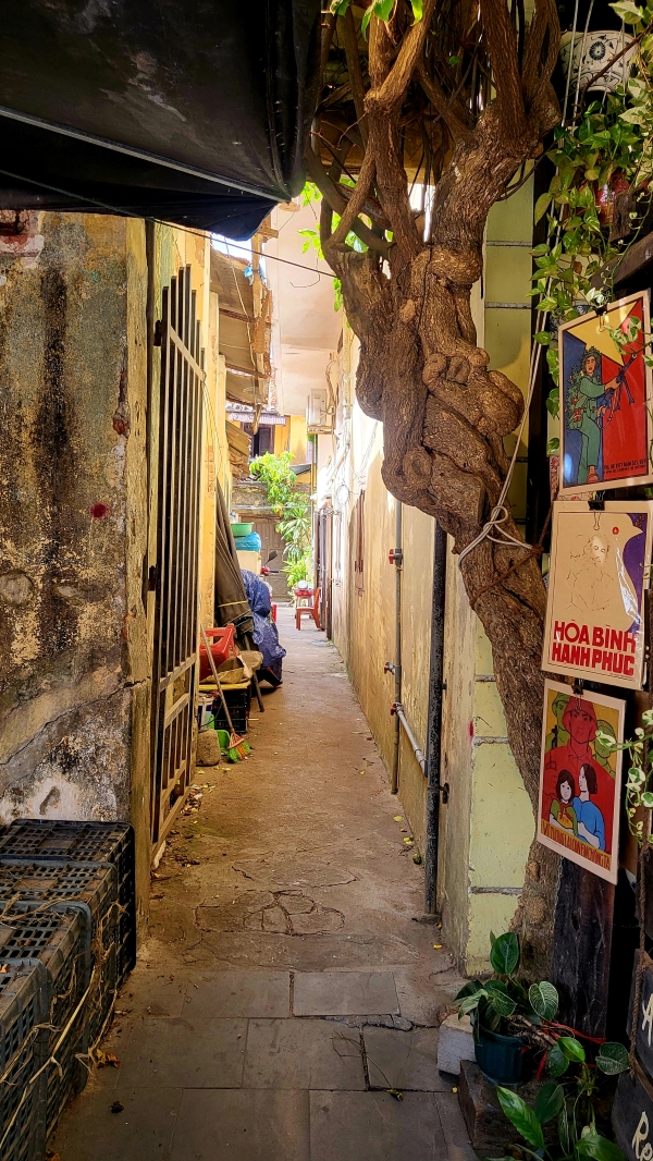 호이안 맛집, Hoi An Restaurant