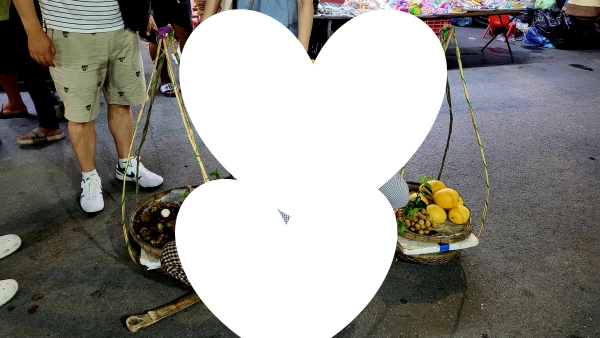 호이안 올드타운, Hoian Old town