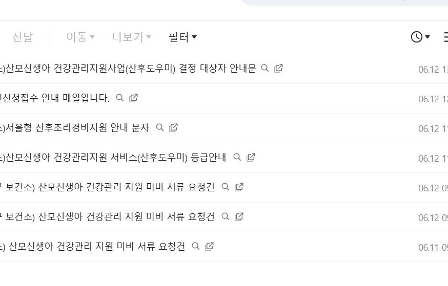 해외 온라인 산후조리지원금