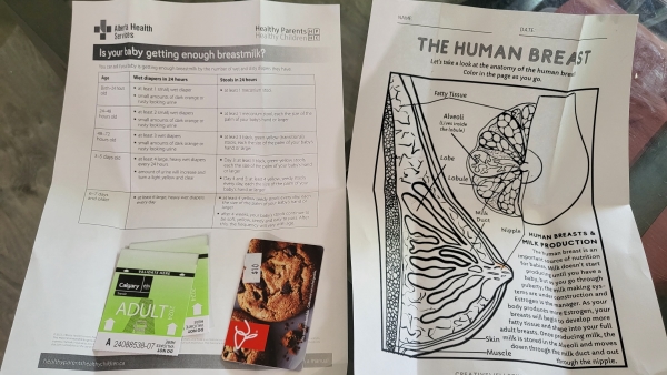 캐나다 출산, 알버타 Best Beginning Program, Canada Birth