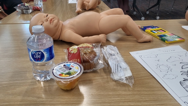 캐나다 출산, 알버타 Best Beginning Program, Canada Birth