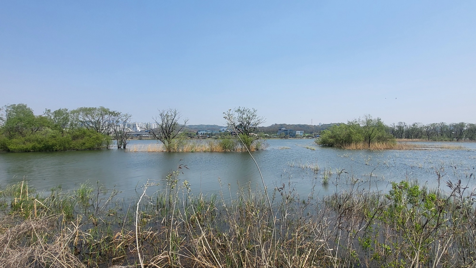 왕송호수 맛집 그란데