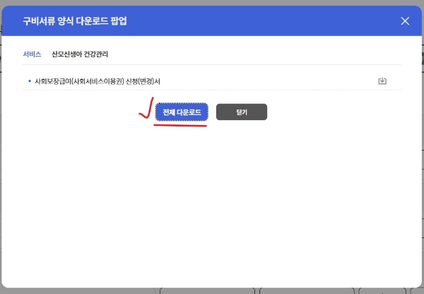 해외 온라인 산후조리지원금