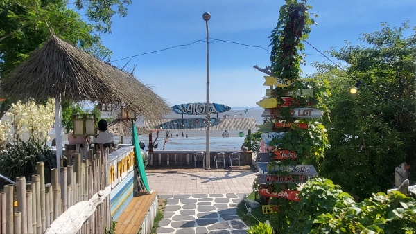 뻘다방, Latin American Vibes