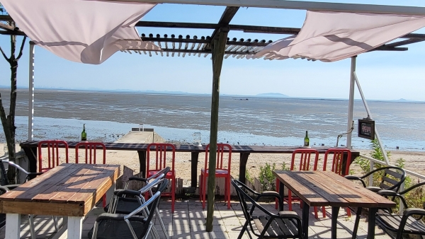 뻘다방, Latin American Vibes