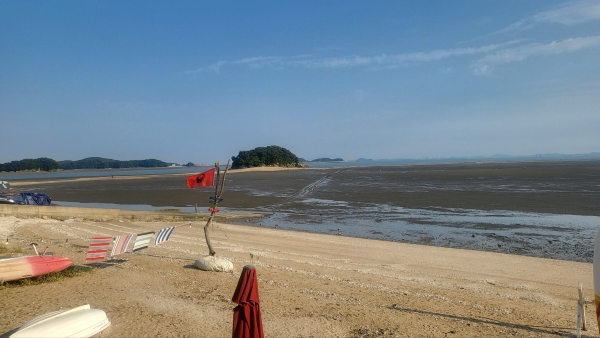 뻘다방, Latin American Vibes