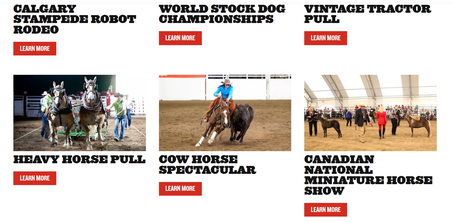 캘거리 스템피드, Calgary Stampede