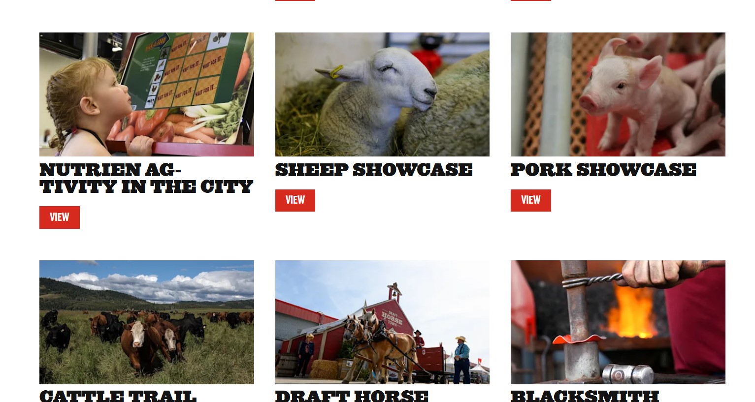 캘거리 스템피드, Calgary Stampede