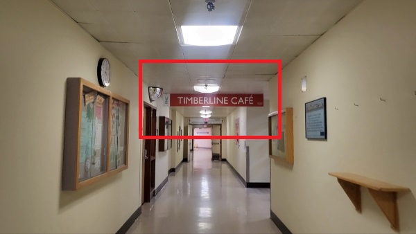 캘거리 풋힐 병원 분만실, calgary foothills labour and delivery services