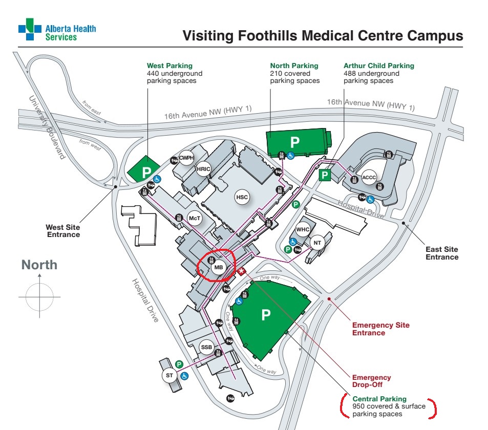 캘거리 풋힐 병원 분만실, calgary foothills labour and delivery services